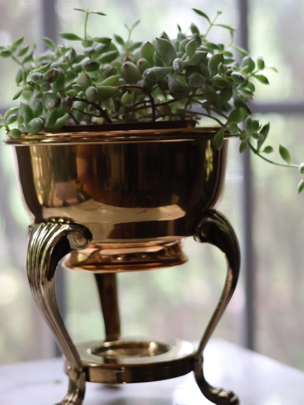 Vintage F.B. Rogers Brass Planter Chafing Stand with Claw Feet